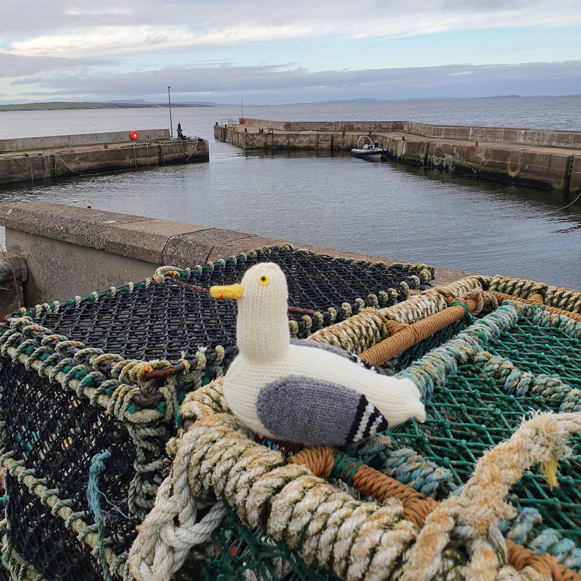 Big Jeff the knitted seagull sitting at John O Groats harbour
