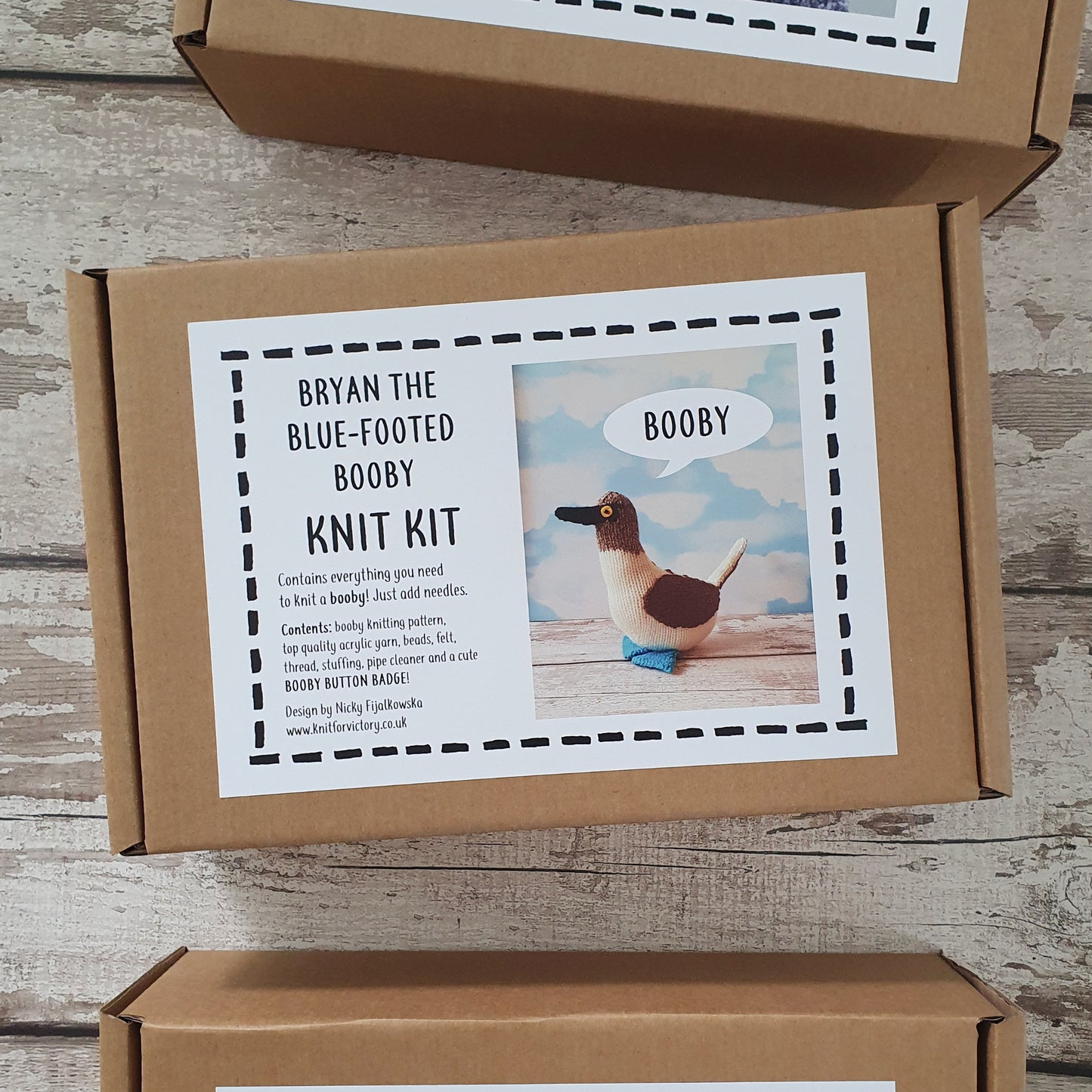 blue footed booby bird knitting kit in an eco gift box