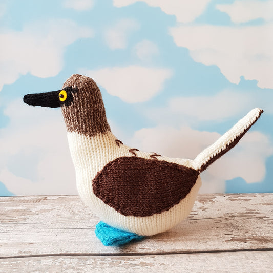 blue footed booby knitted from a knitting kit pattern