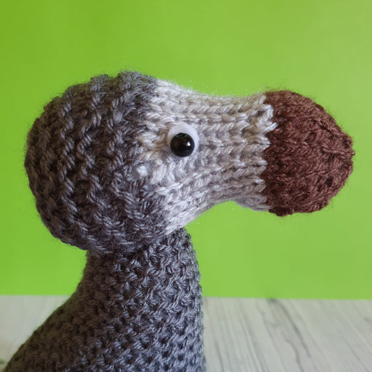 a knitted dodo from a knitting gift kit by Nicky Stewart