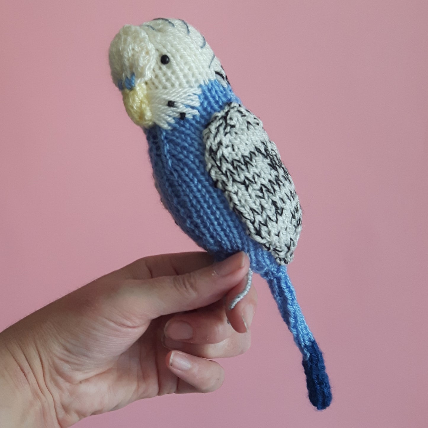 Sparky the Budgie bird knitting kit