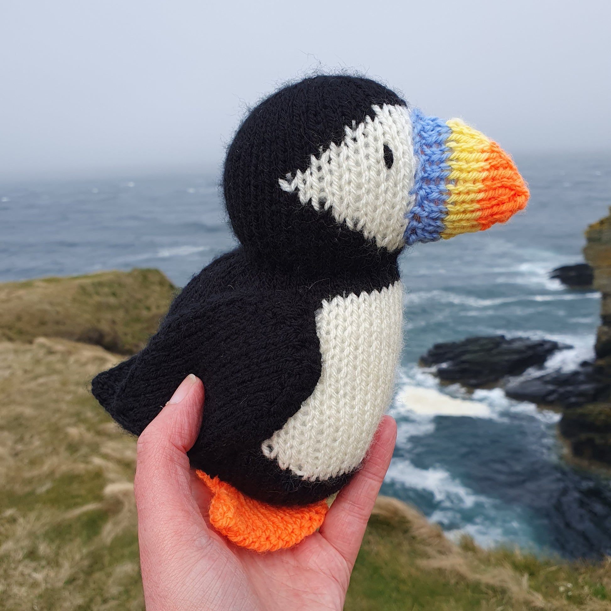 Barry the knitted puffin looking out to sea at Castle Sinclair Girnigoe
