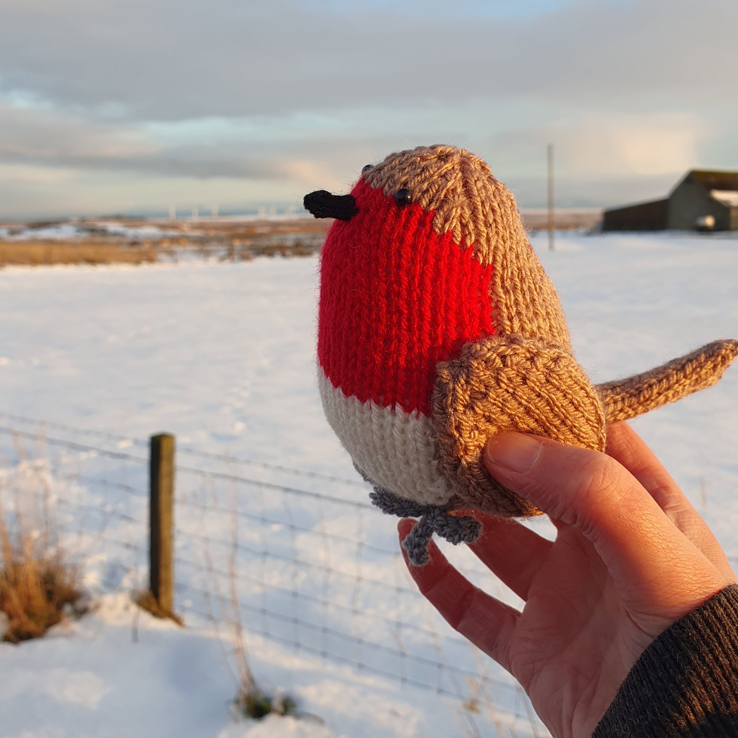 knitted robin in the snowy Scottish highlands
