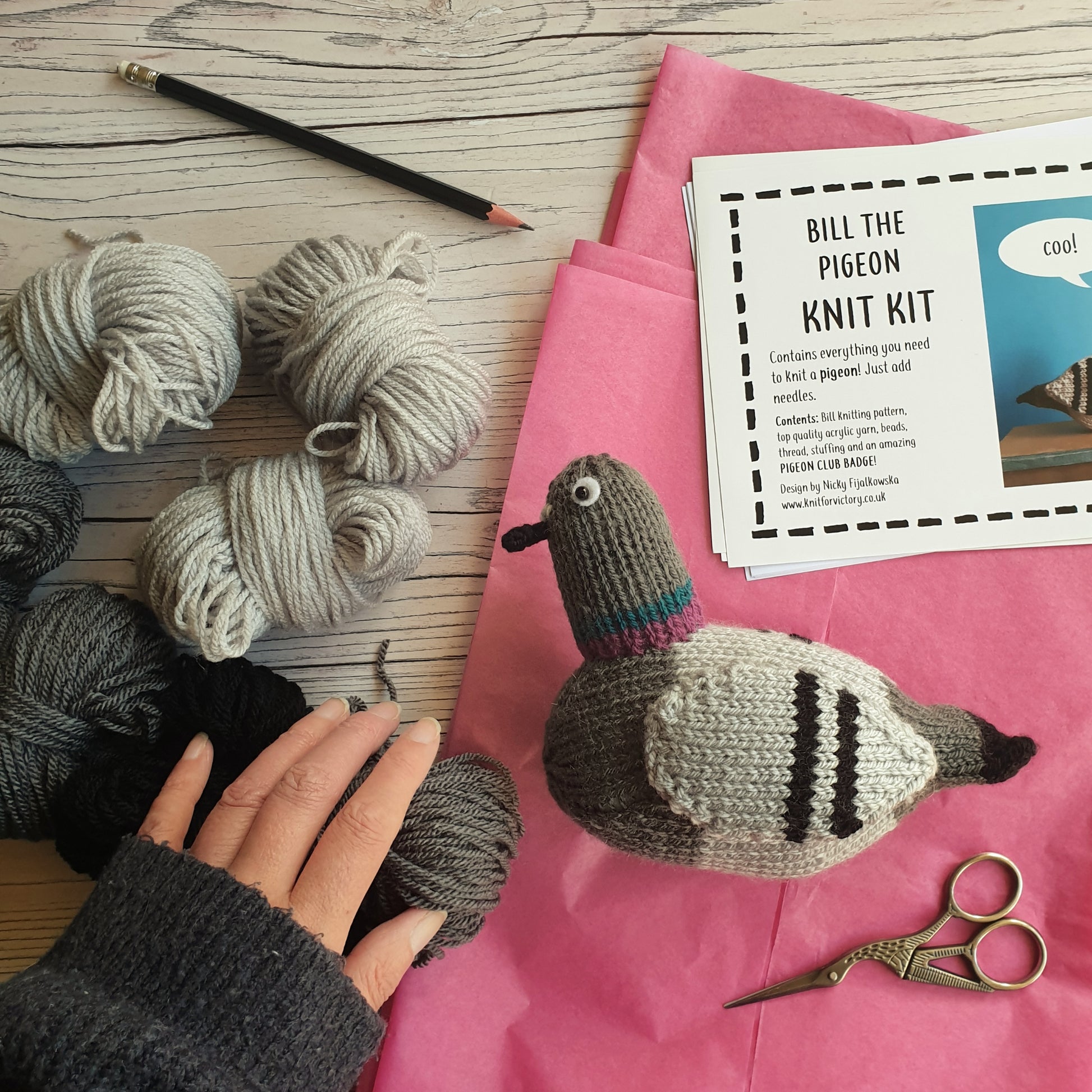 a pigeon knitting kit