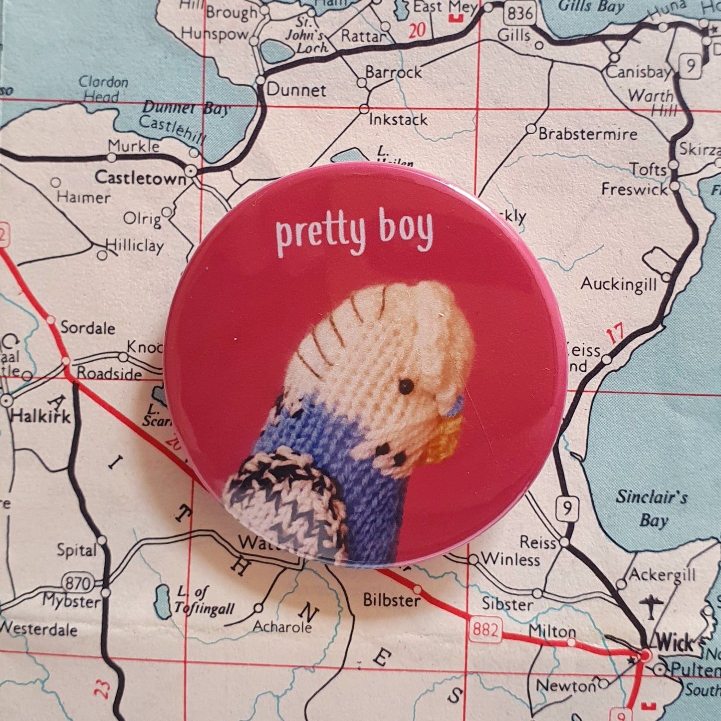pretty boy knitted budgie badge