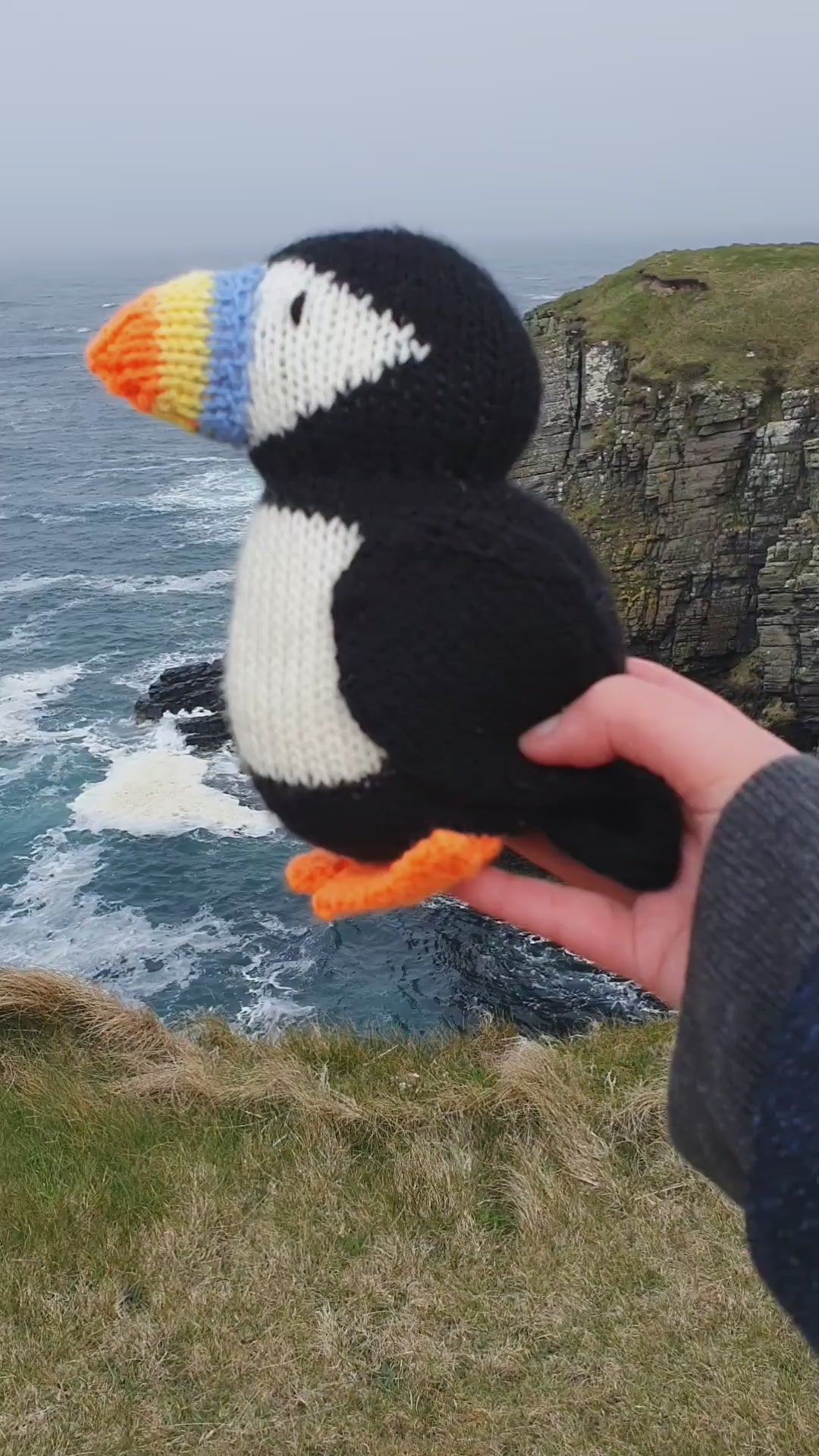 a knitted puffin looking out to sea on top of a cliff near Castle Sinclair Girnigoe Caithness