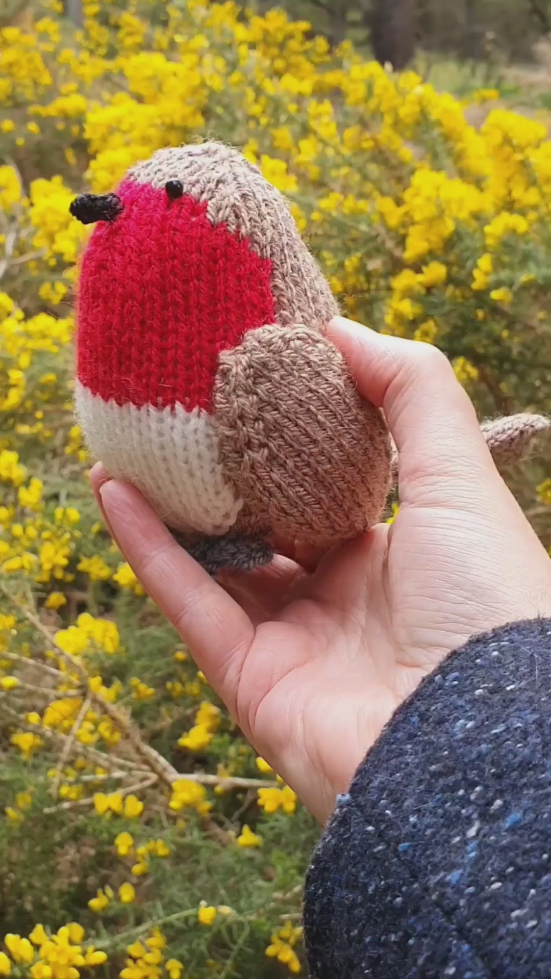 a video of a knitted robin in front of some bright yellow gorse or whins