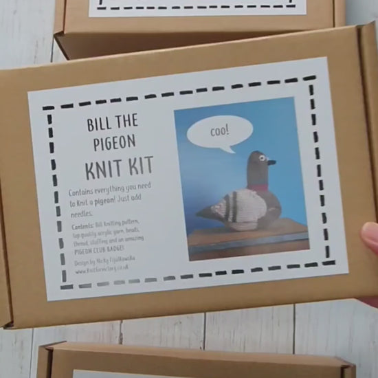 pigeon knitting kit in gift box