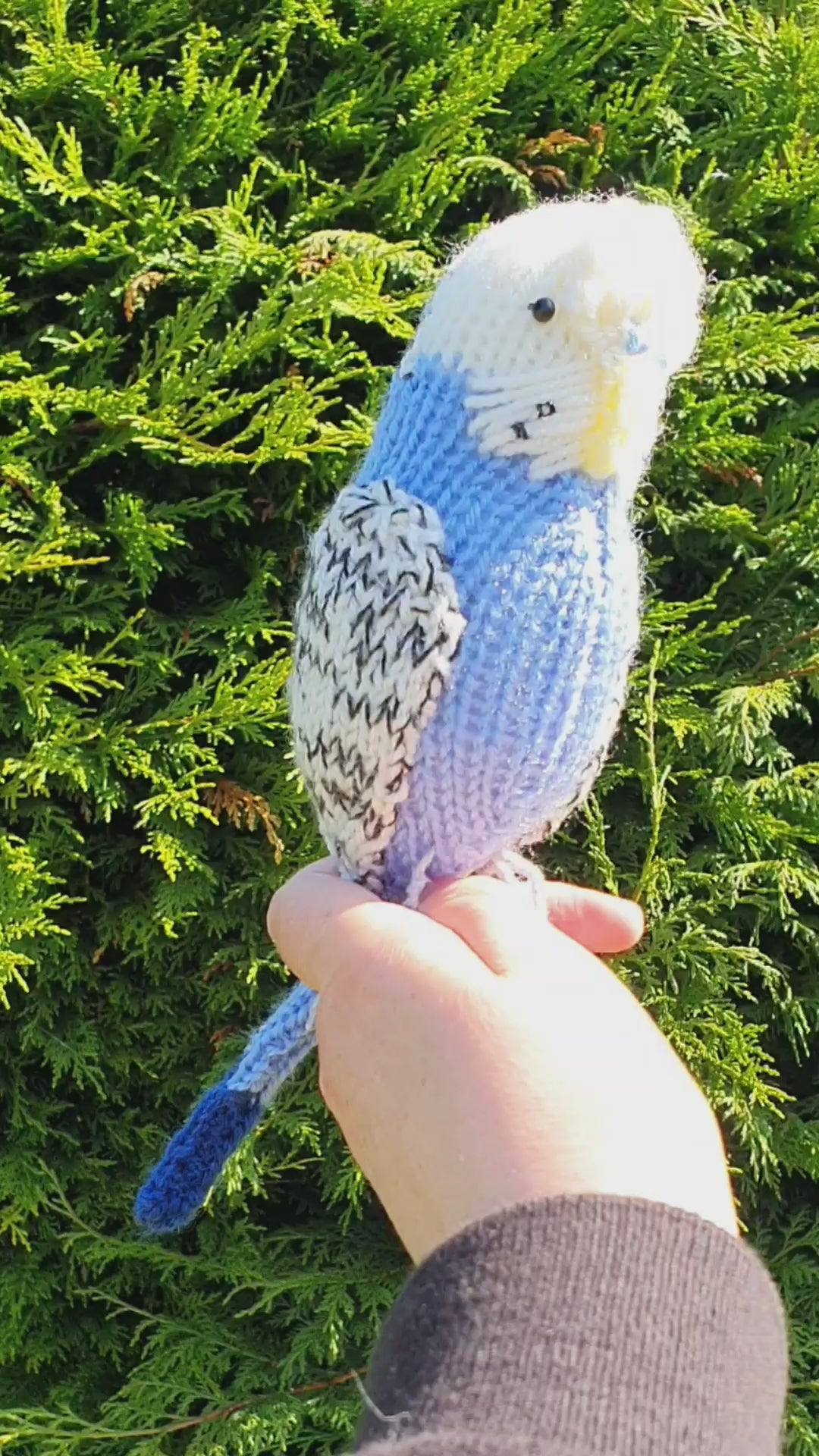 a knitted blue budgerigar designed by Nicky Stewart from a knitting kit