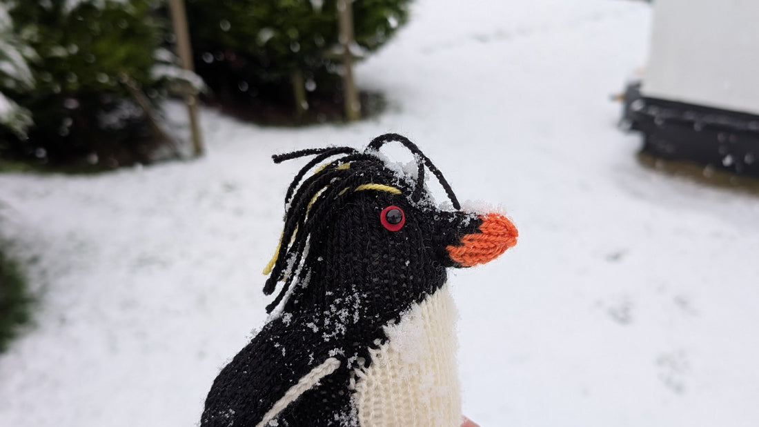 a knitted penguin in a snowy garden