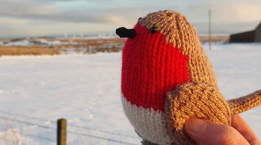 a knitted robin being held up with a snowy field in the background