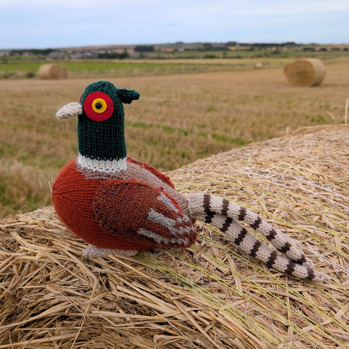 Knitted pheasant toy on a hay bale with a field background
