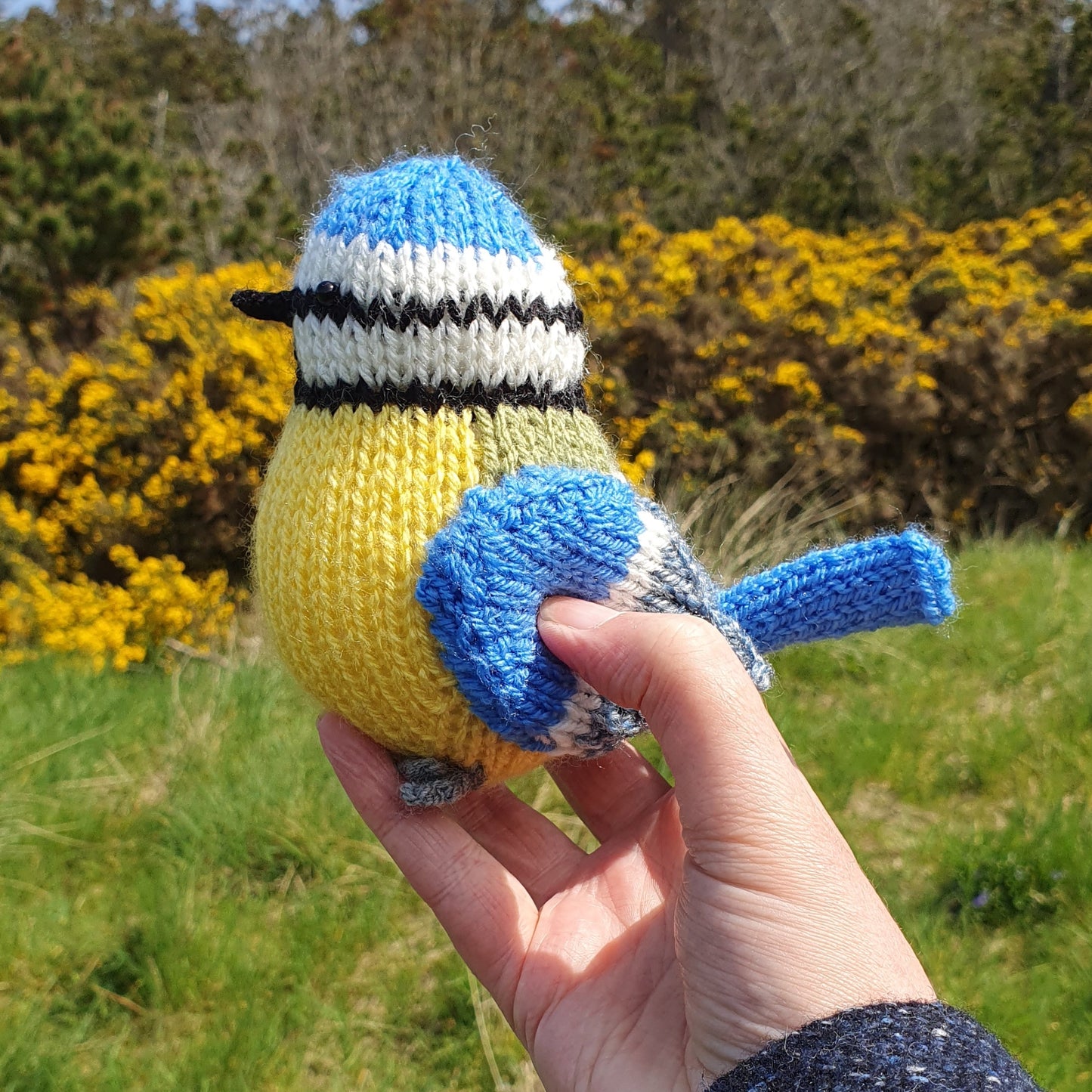 a knitted blue tit with gorse flowers in the background