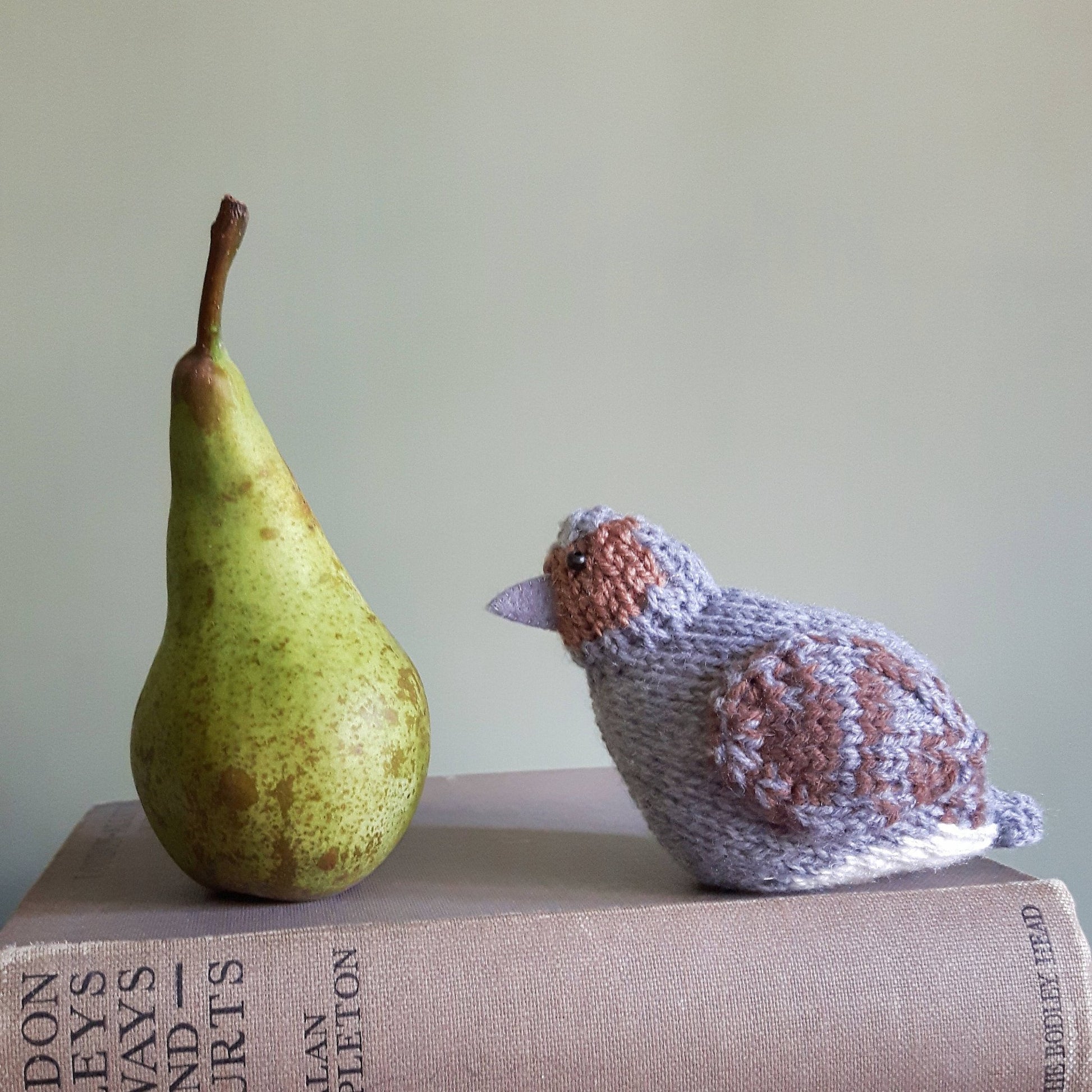 a knitted partridge is sitting on top of a pile of vintage books. He is facing a green pear.