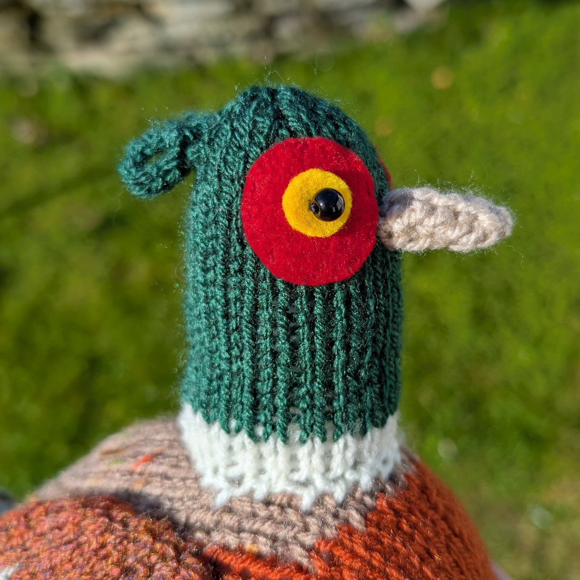 Angus the knitted pheasant with grass in the background