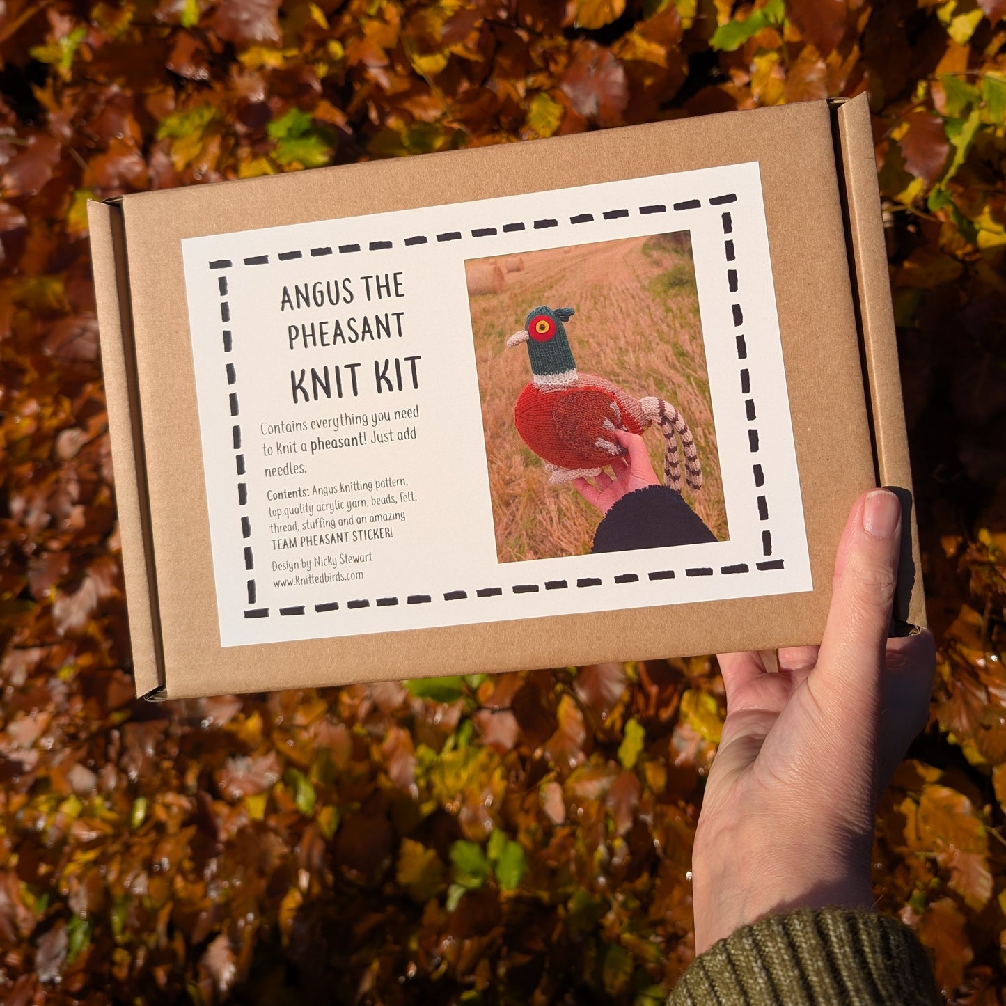 Angus the Pheasant knit kit held by a hand with autumn leaves in the background