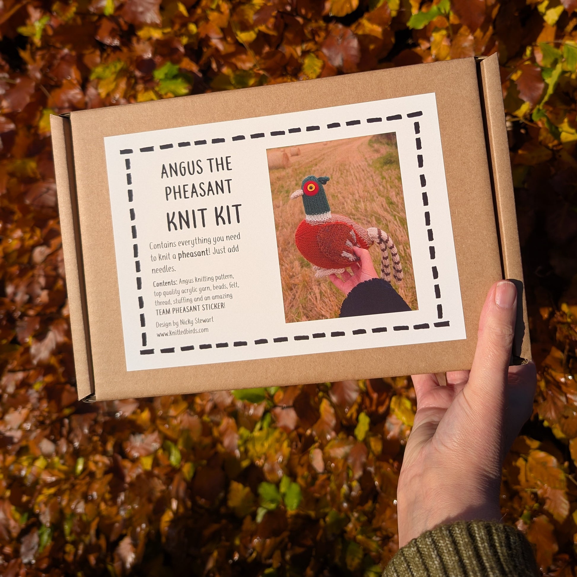 Angus the Pheasant knit kit held by a hand with autumn leaves in the background