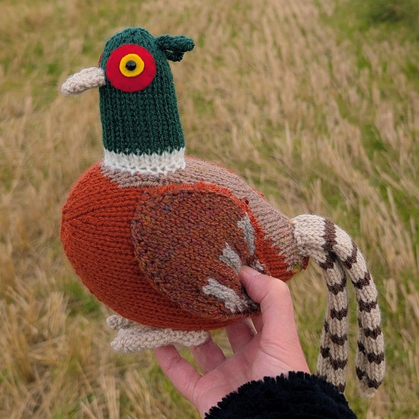 Knitted pheasant toy held in a hand with a field in the background