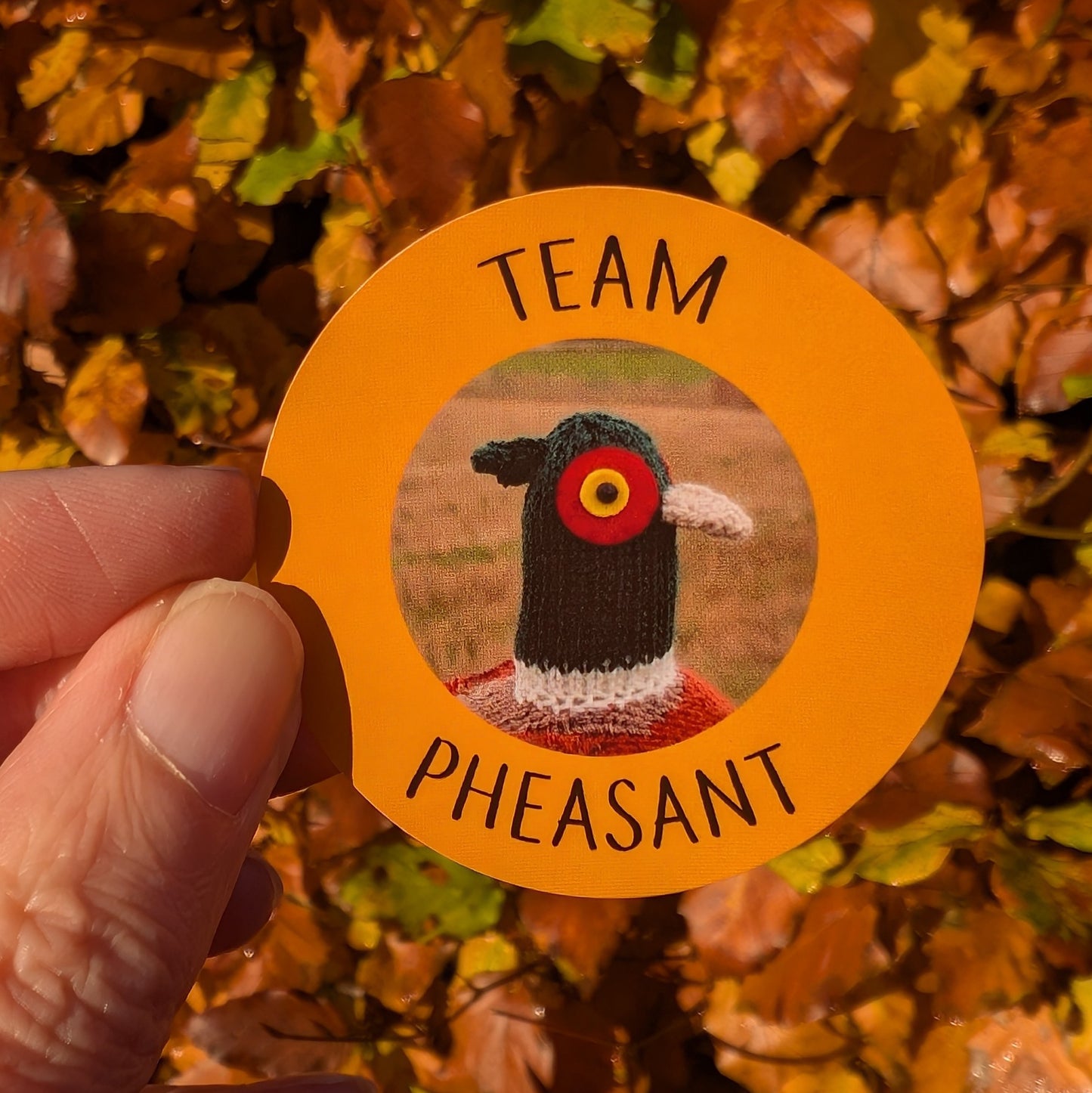 Round sticker with a knitted pheasant design and 'Team Pheasant' text, held against a background of autumn leaves.