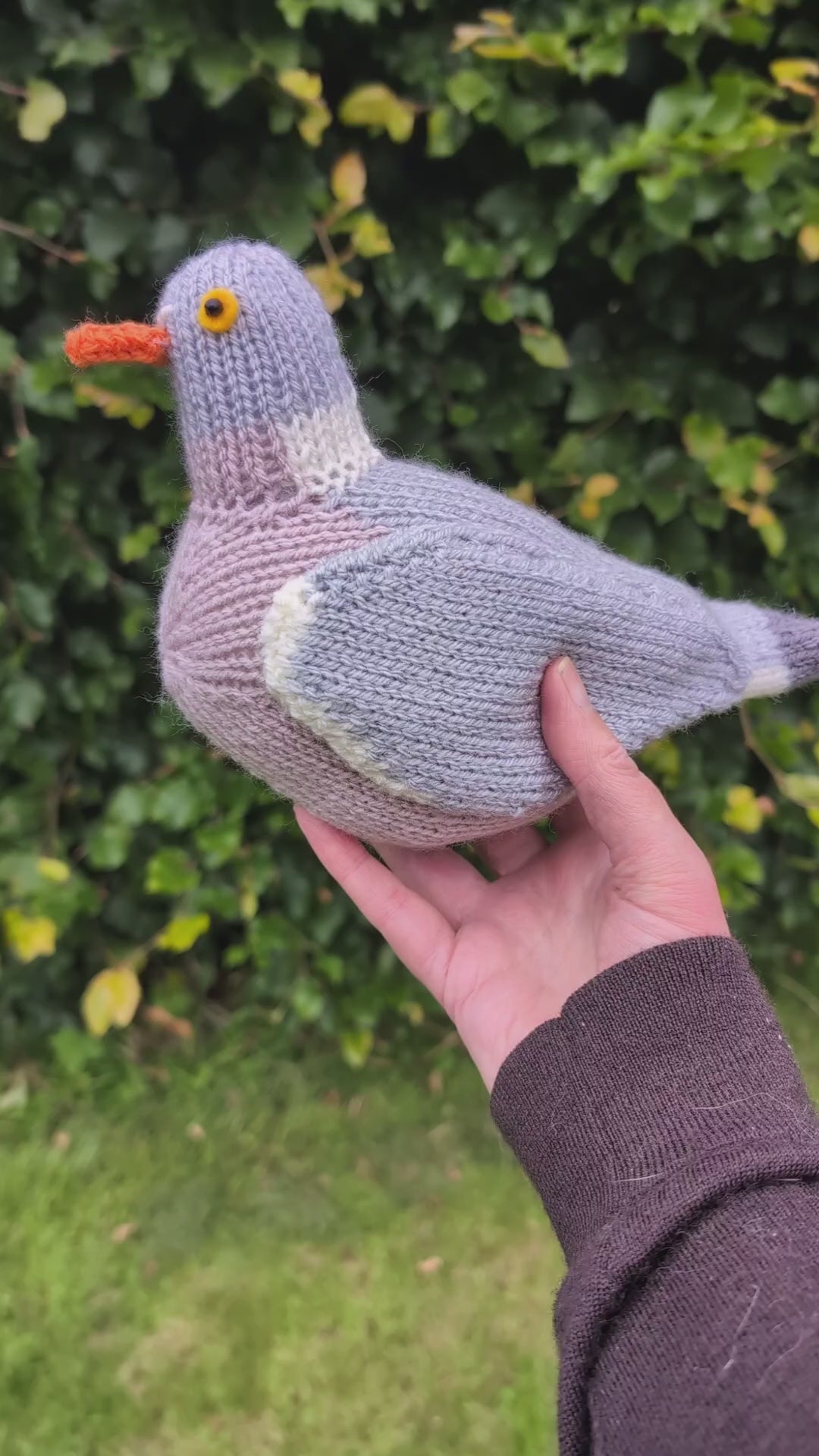 a knitted wood pigeon is being held and turned round so you can see all angles. There is a lush hedge and grass behind the pigeon.