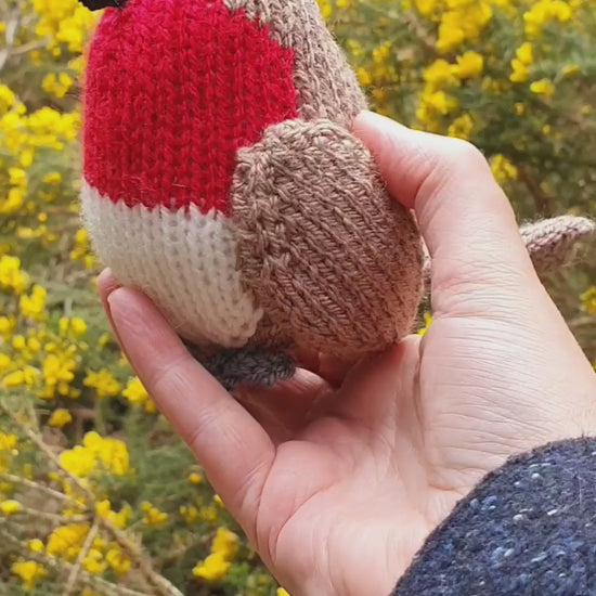 a video of a knitted robin in front of some bright yellow gorse or whins