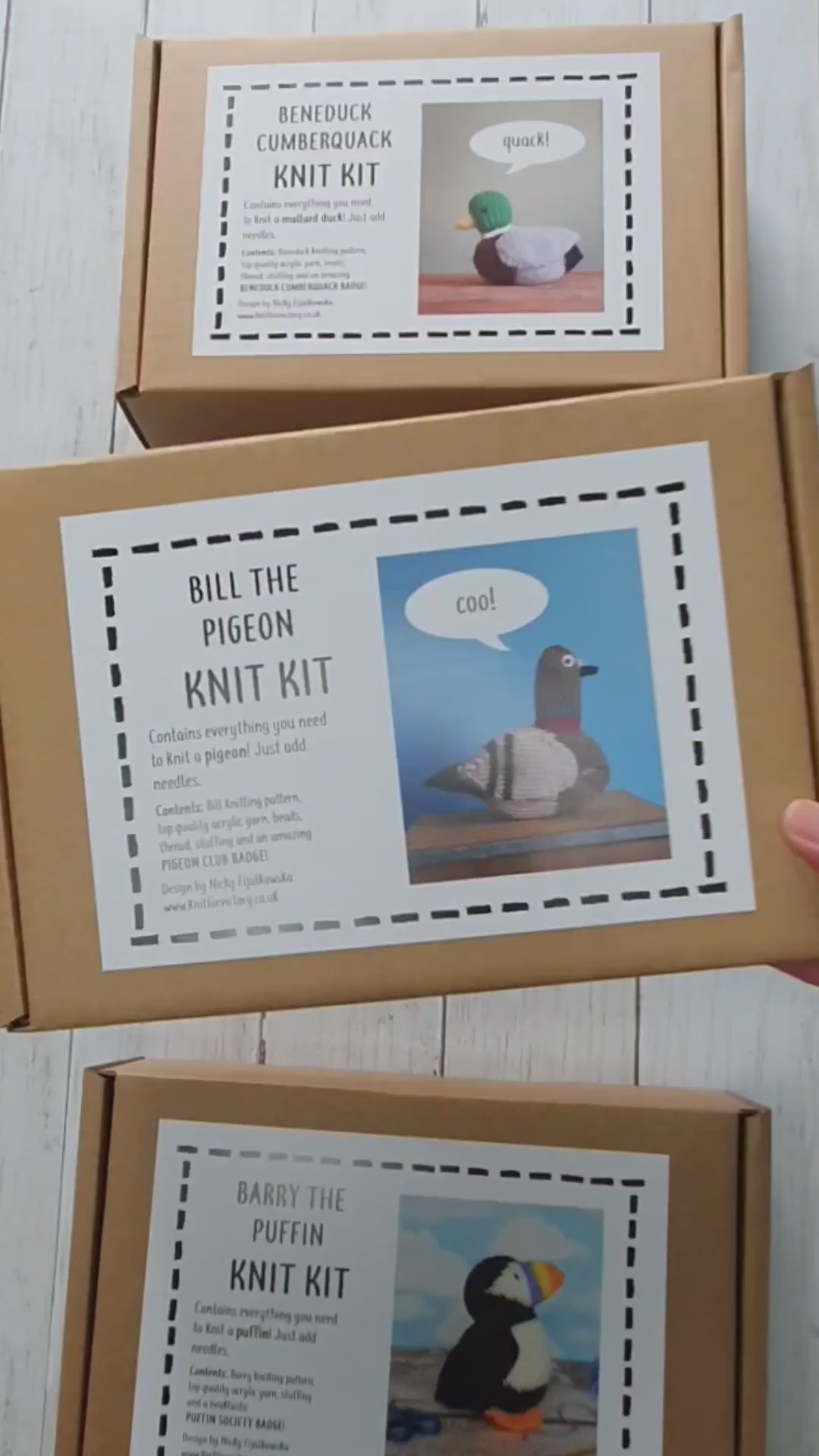 pigeon knitting kit in gift box