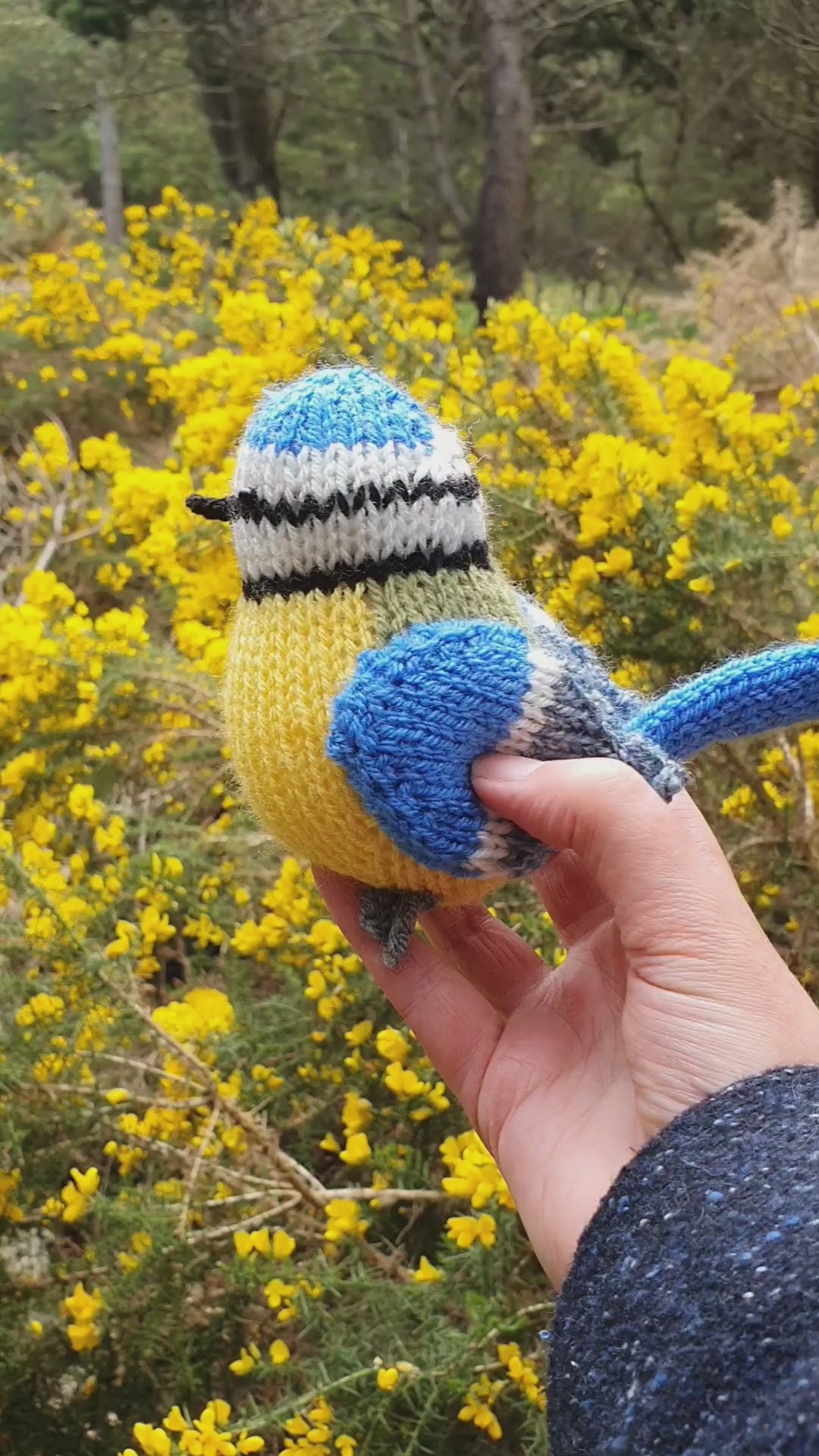 a knitted blue tit