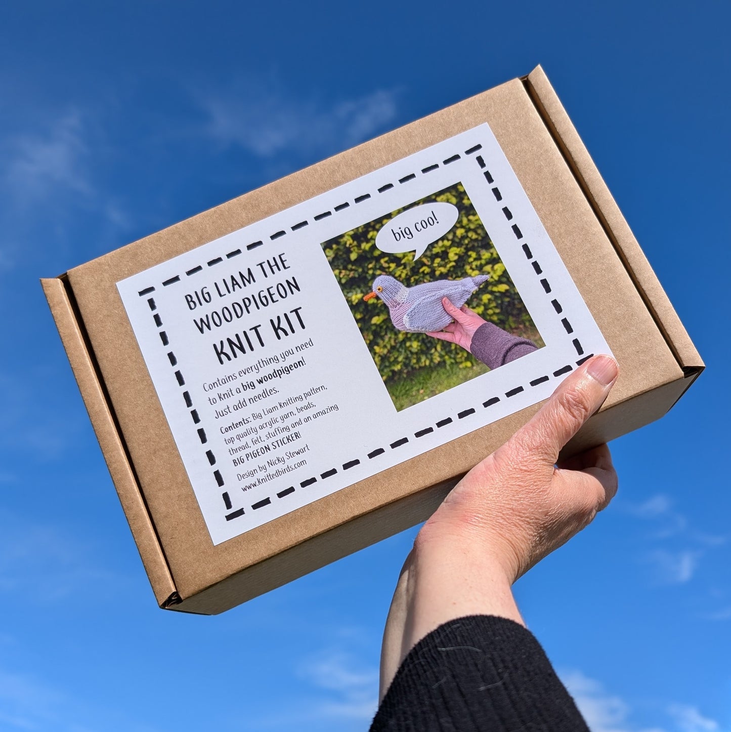 a wood pigeon knitting kit being held up in the air. There is blue sky in the background